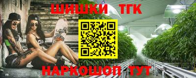 дмт Аргун