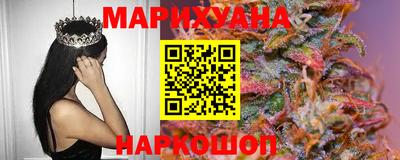 трава Гатчина