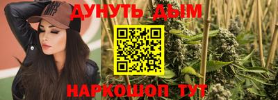 дмт Аргун