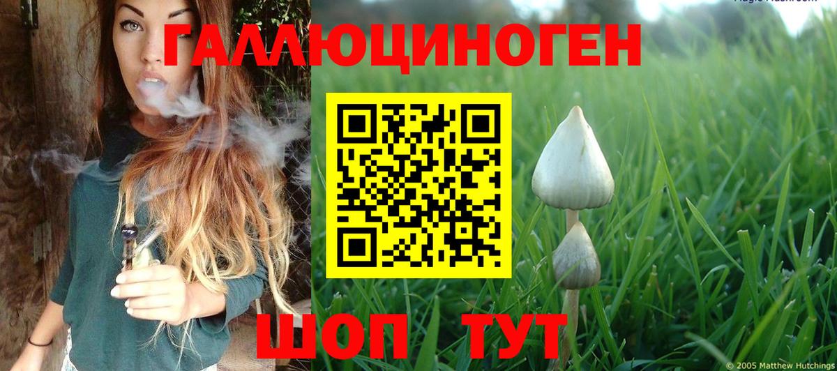 Галлюциногенные грибы MAGIC MUSHROOMS Богородицк
